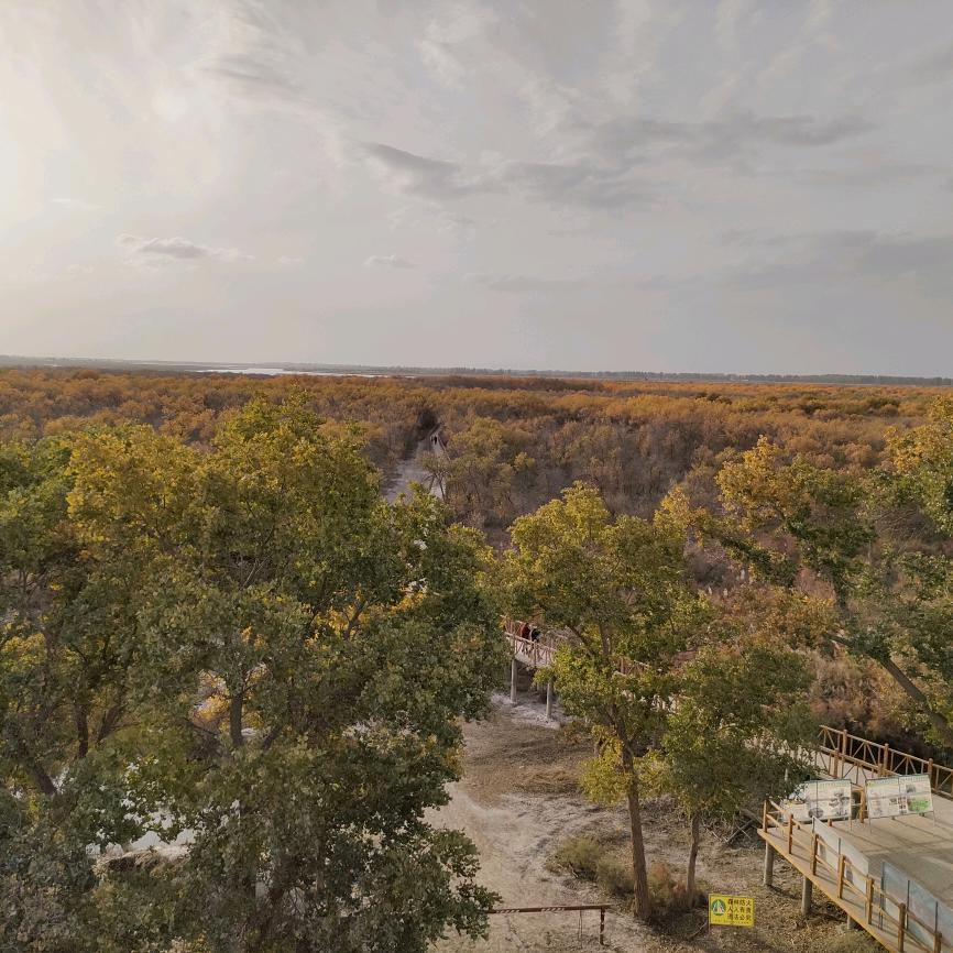 👉何去何从👈