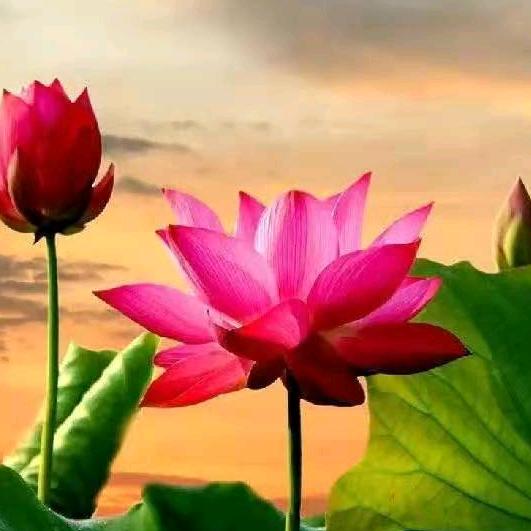 人生没有重来。