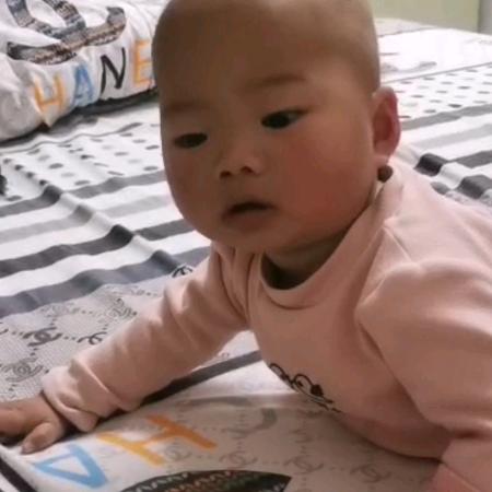 鹦鹉先生