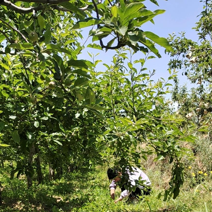🍎蒙恩见证🍎承蒙厚爱）🔥