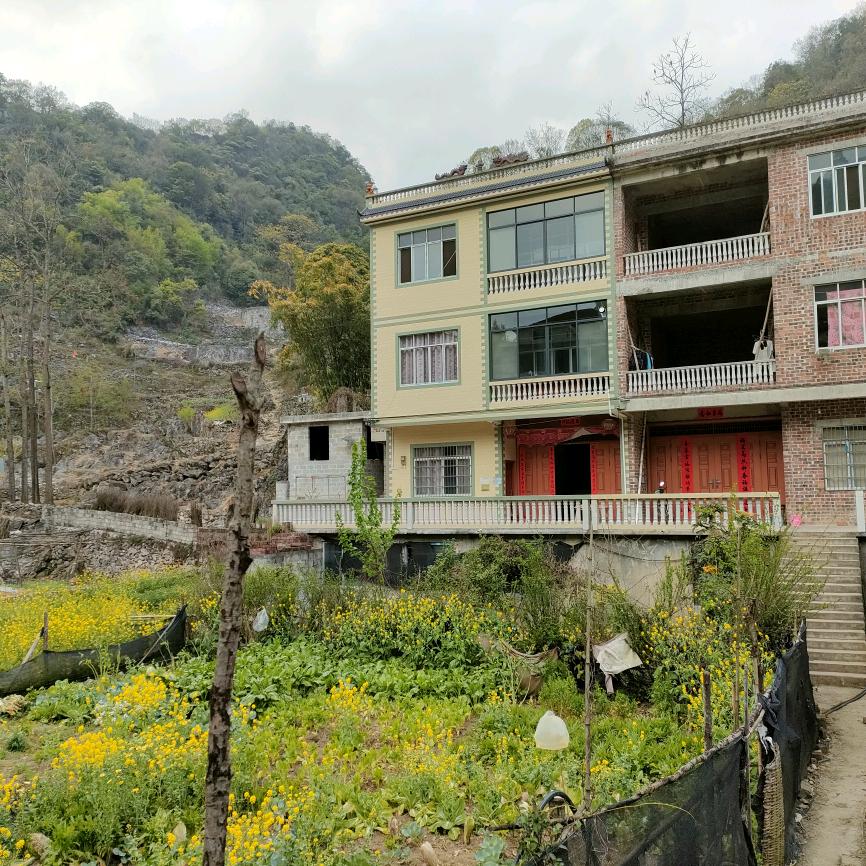 峰回路转