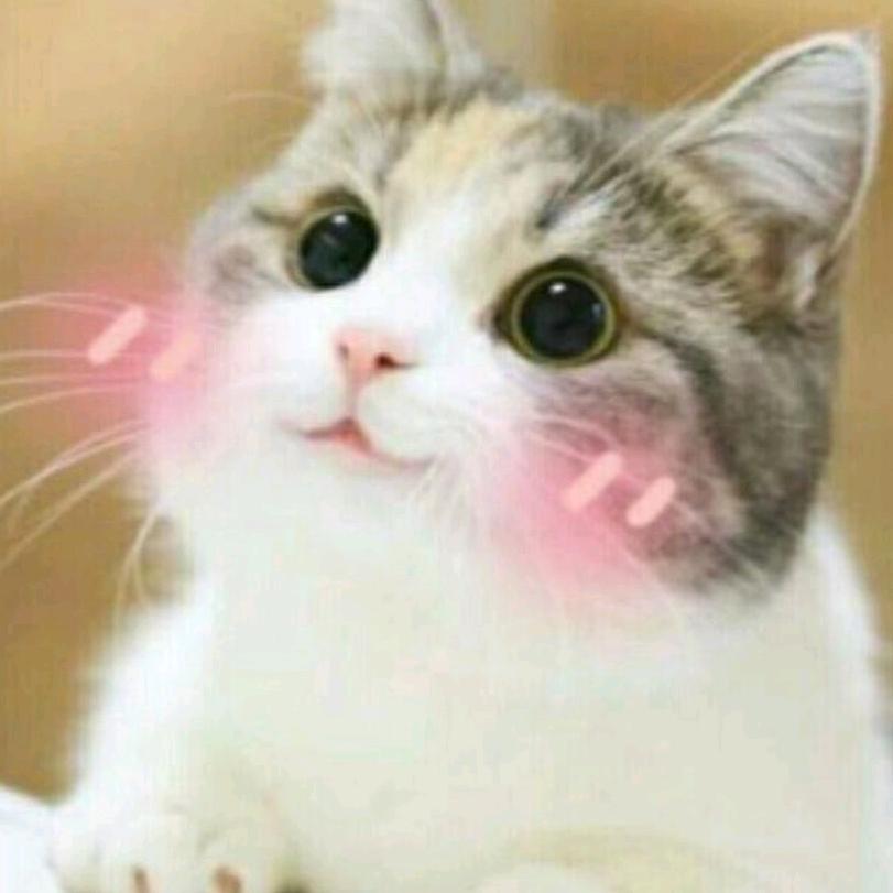 大羽今天吃什么