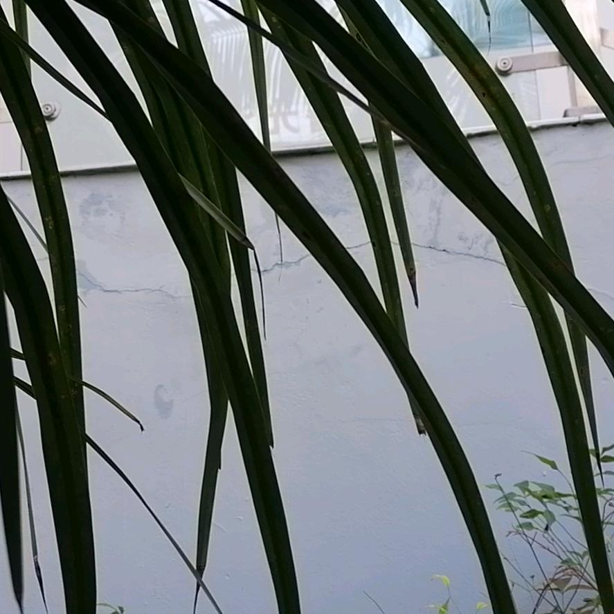 简法智能家居