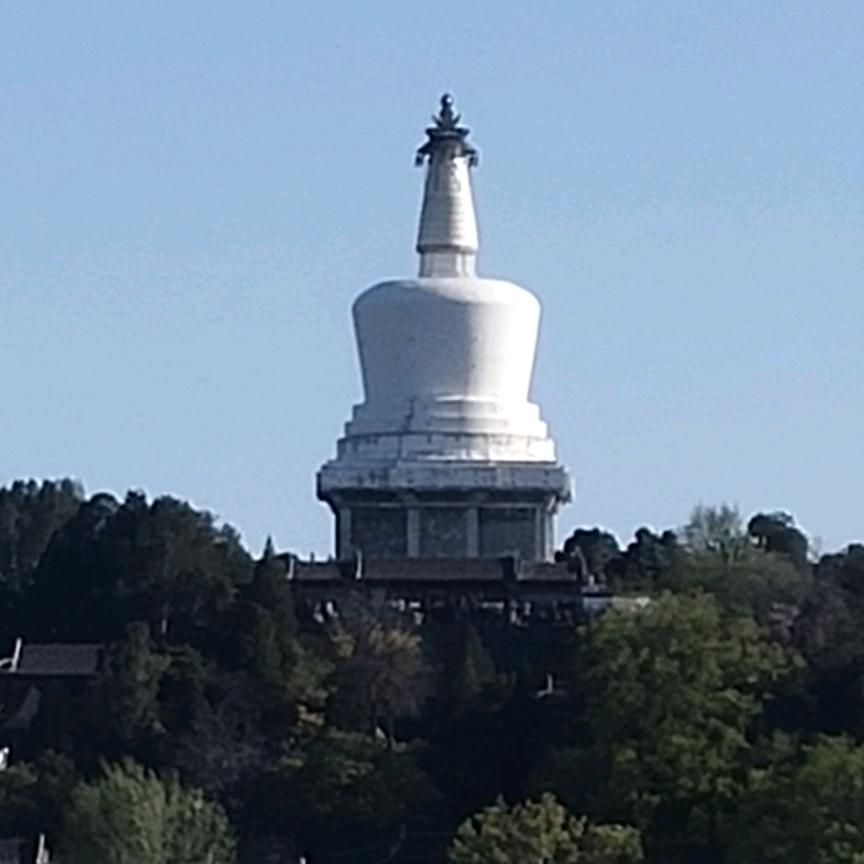 虎鱼