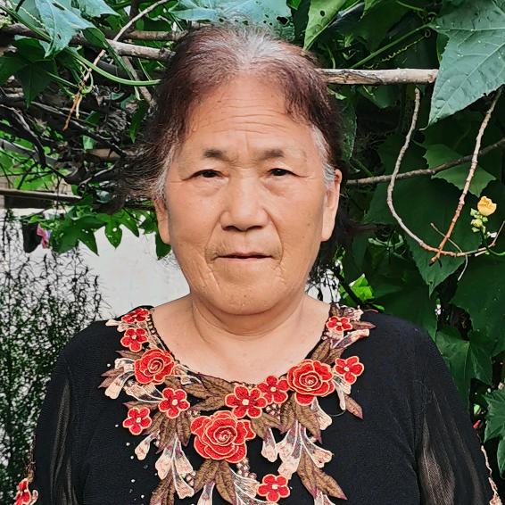 老太君