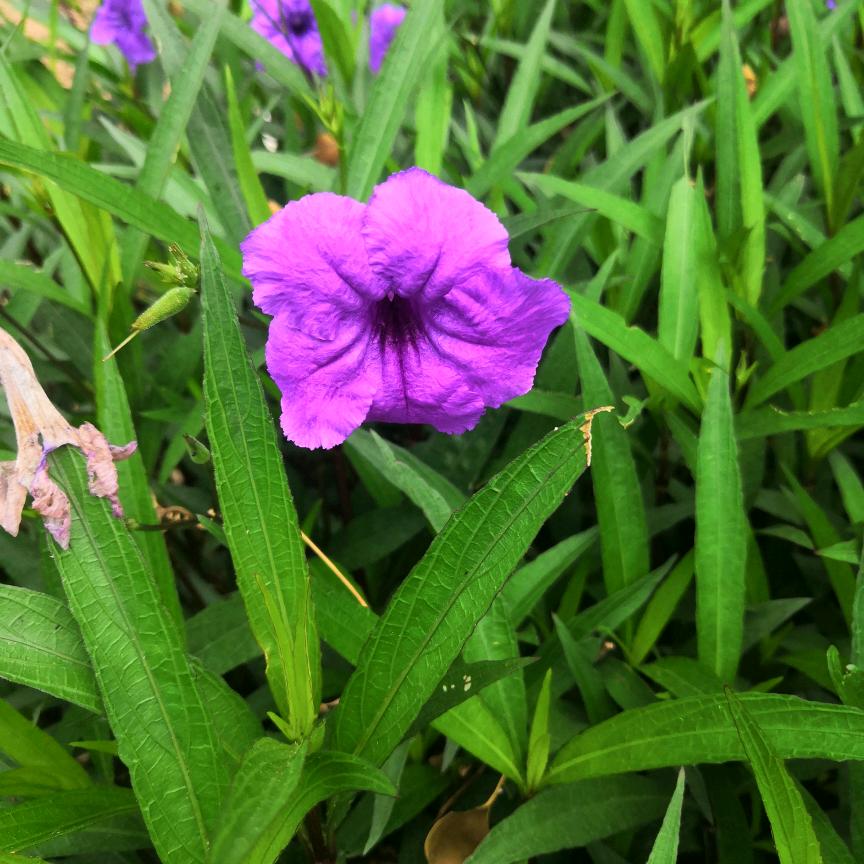 快乐每一天👨‍❤️‍💋‍👨👩‍❤