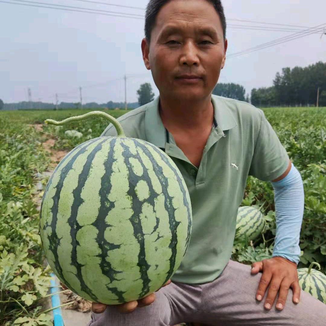 国勤瓜菜个体店