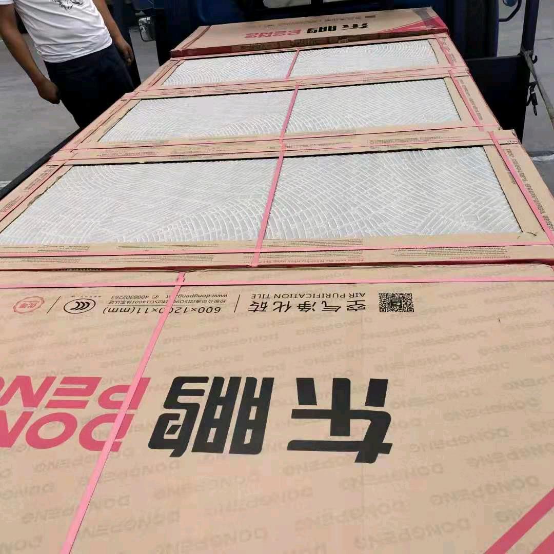 阿丽