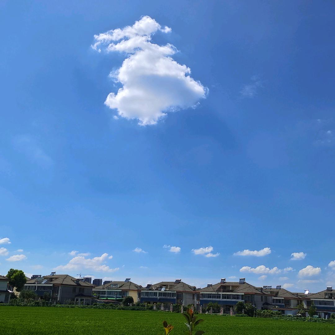 不如潦草