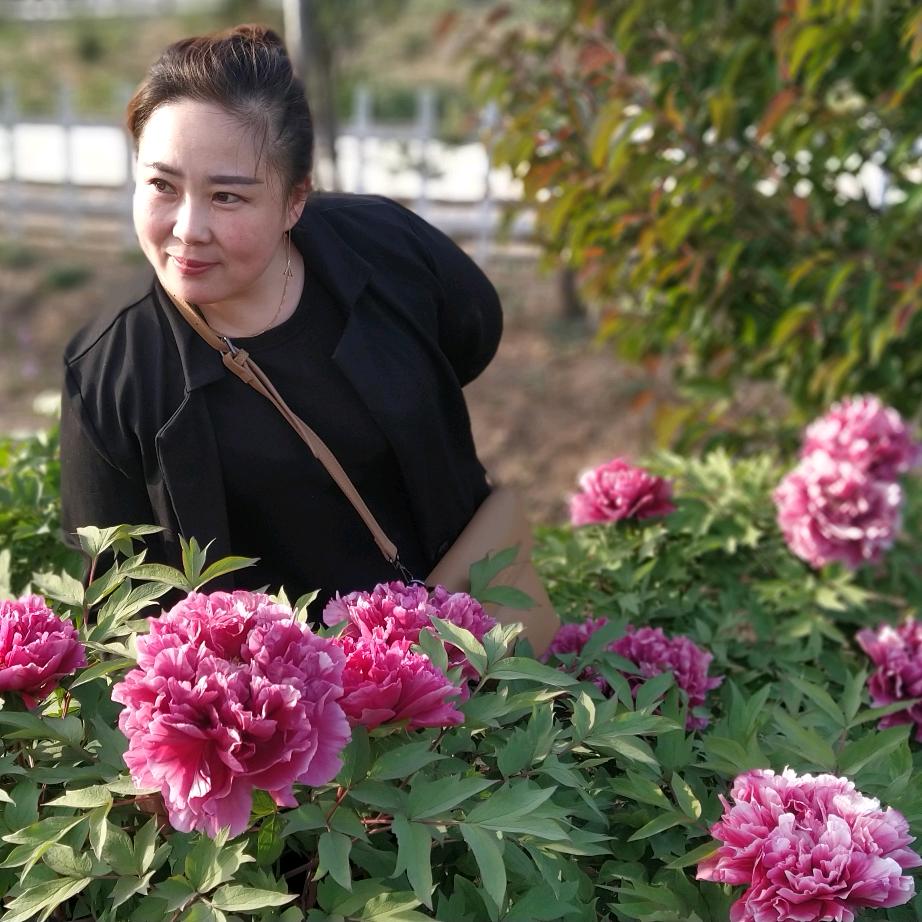 邯郸市复兴区木子日化店