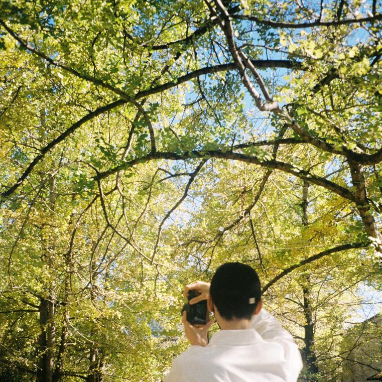 不用立白用雕牌