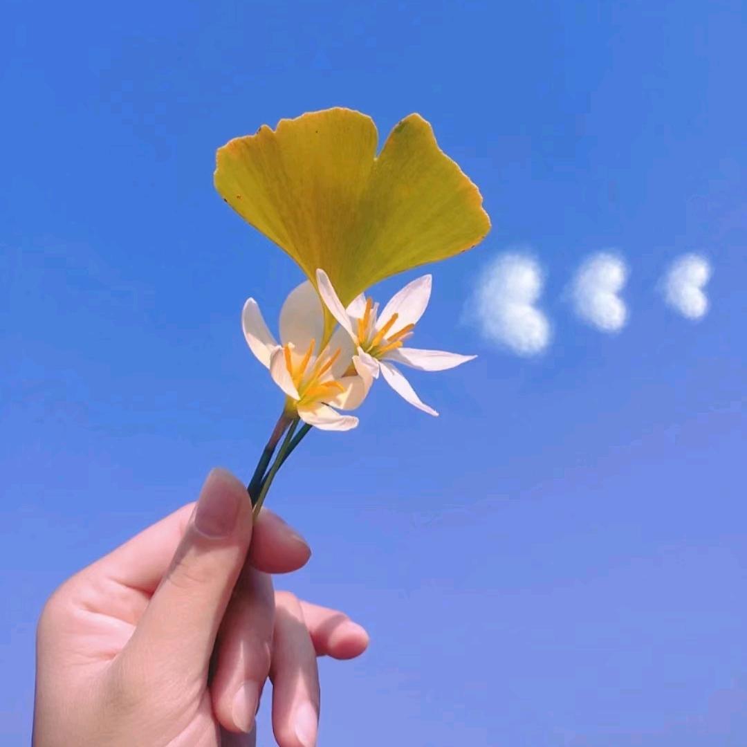 一起安静的时光