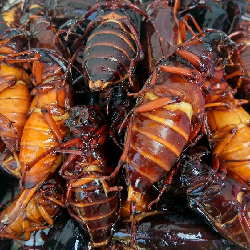临沂三只虫食品
