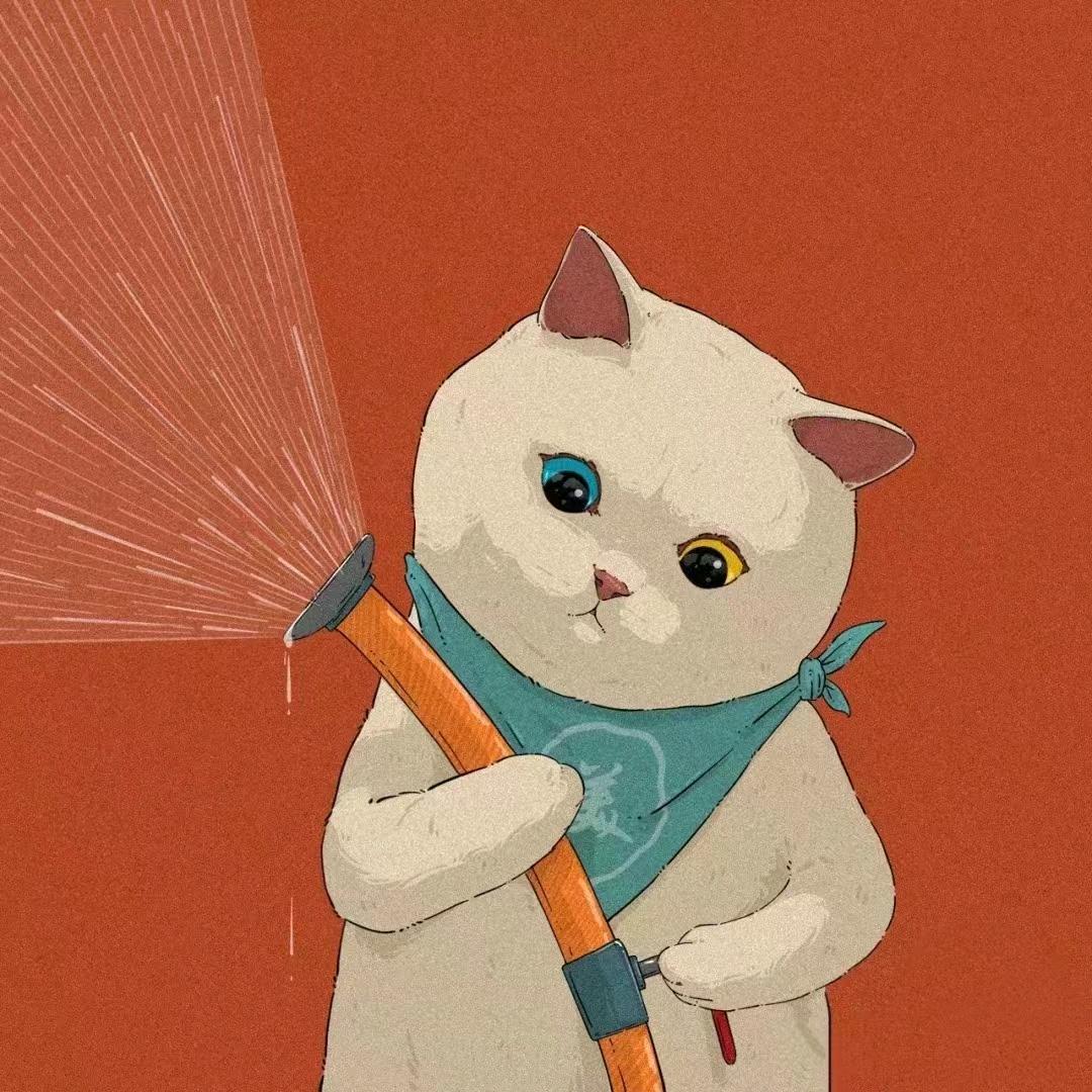 洋哥推荐超市臻选