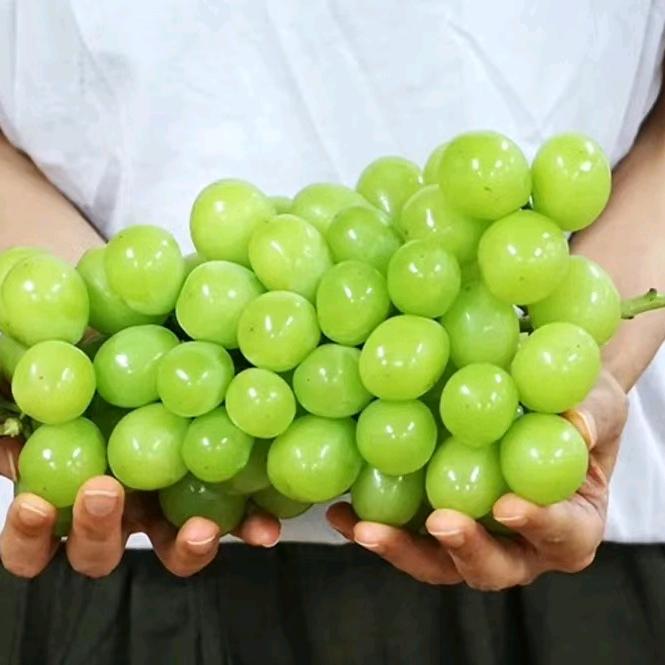 息县静缘农业