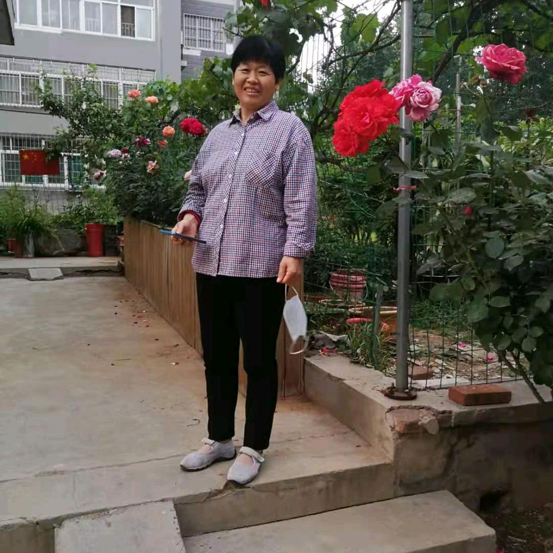 彩云飞