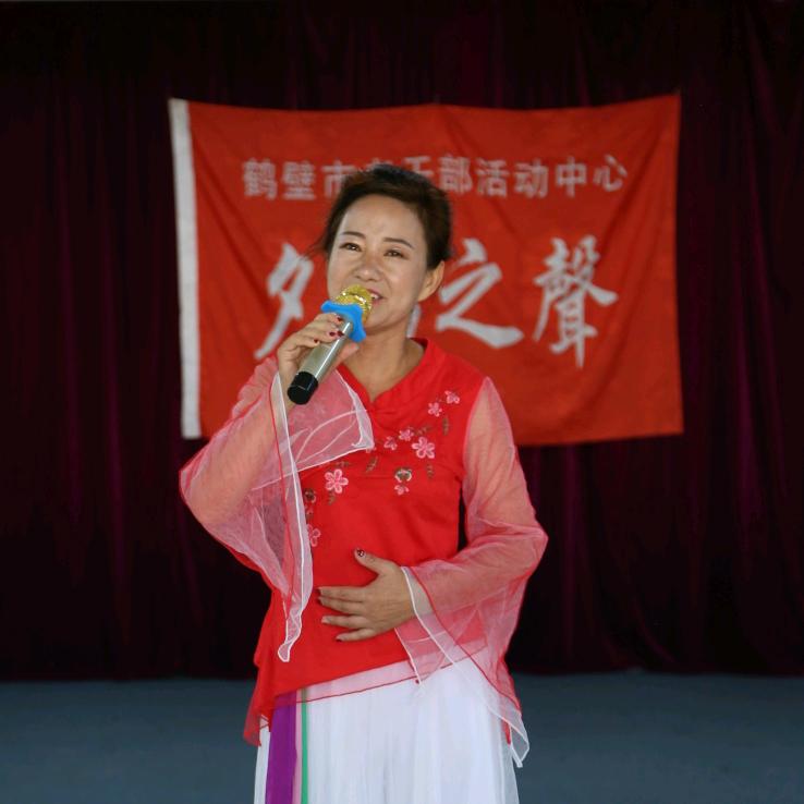 金凤凰