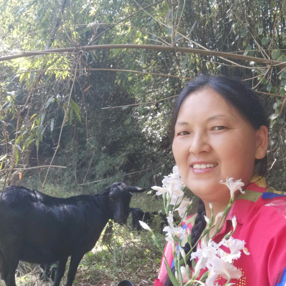 吉祥如意😄