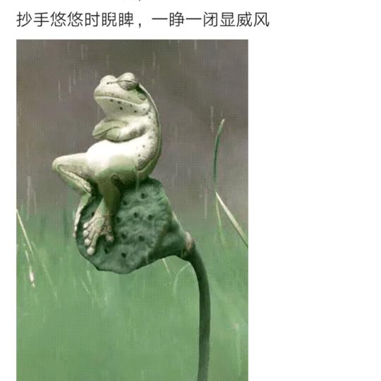 手机用户81146818425