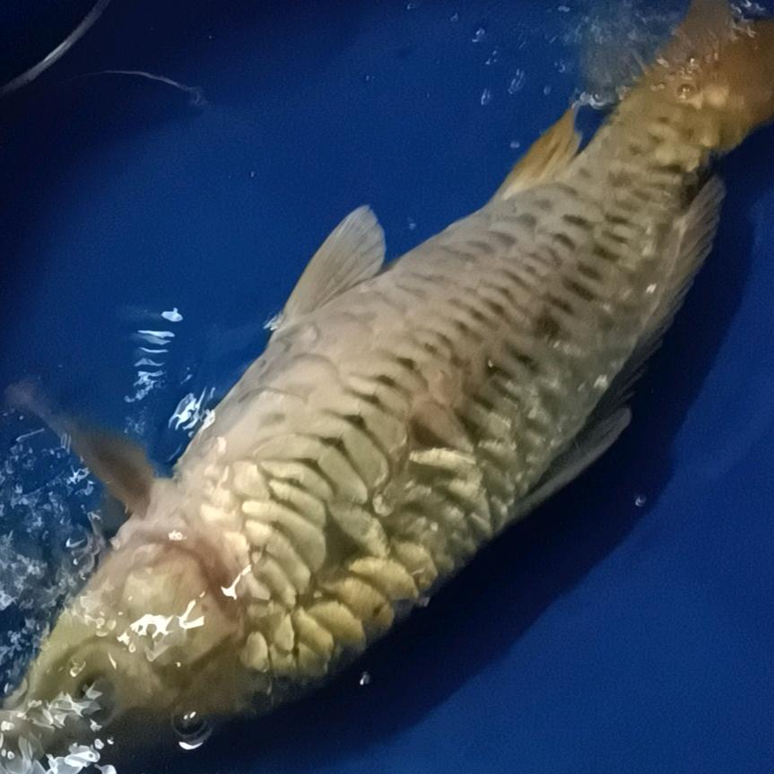 没事溜达