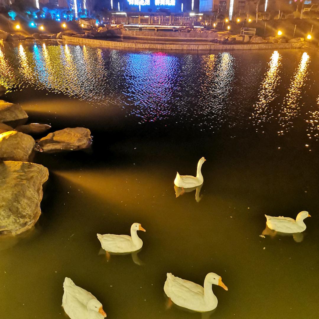 风起于青萍之末