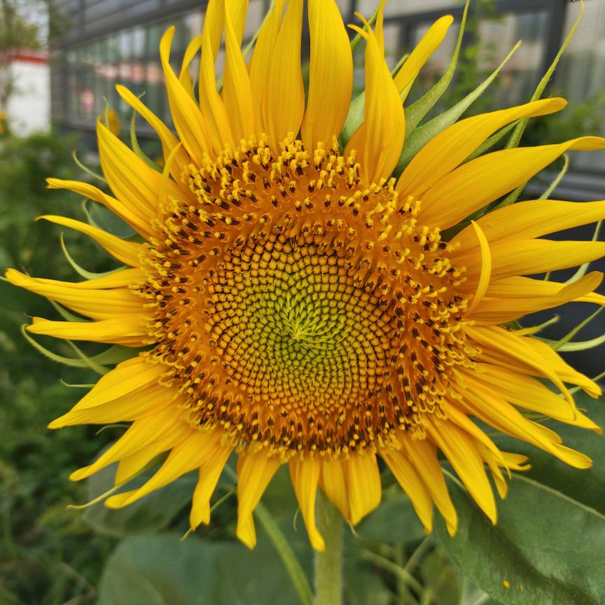 万紫千红总是春