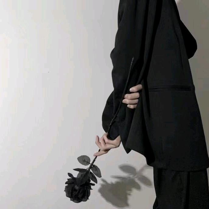 绿鲤鱼与驴