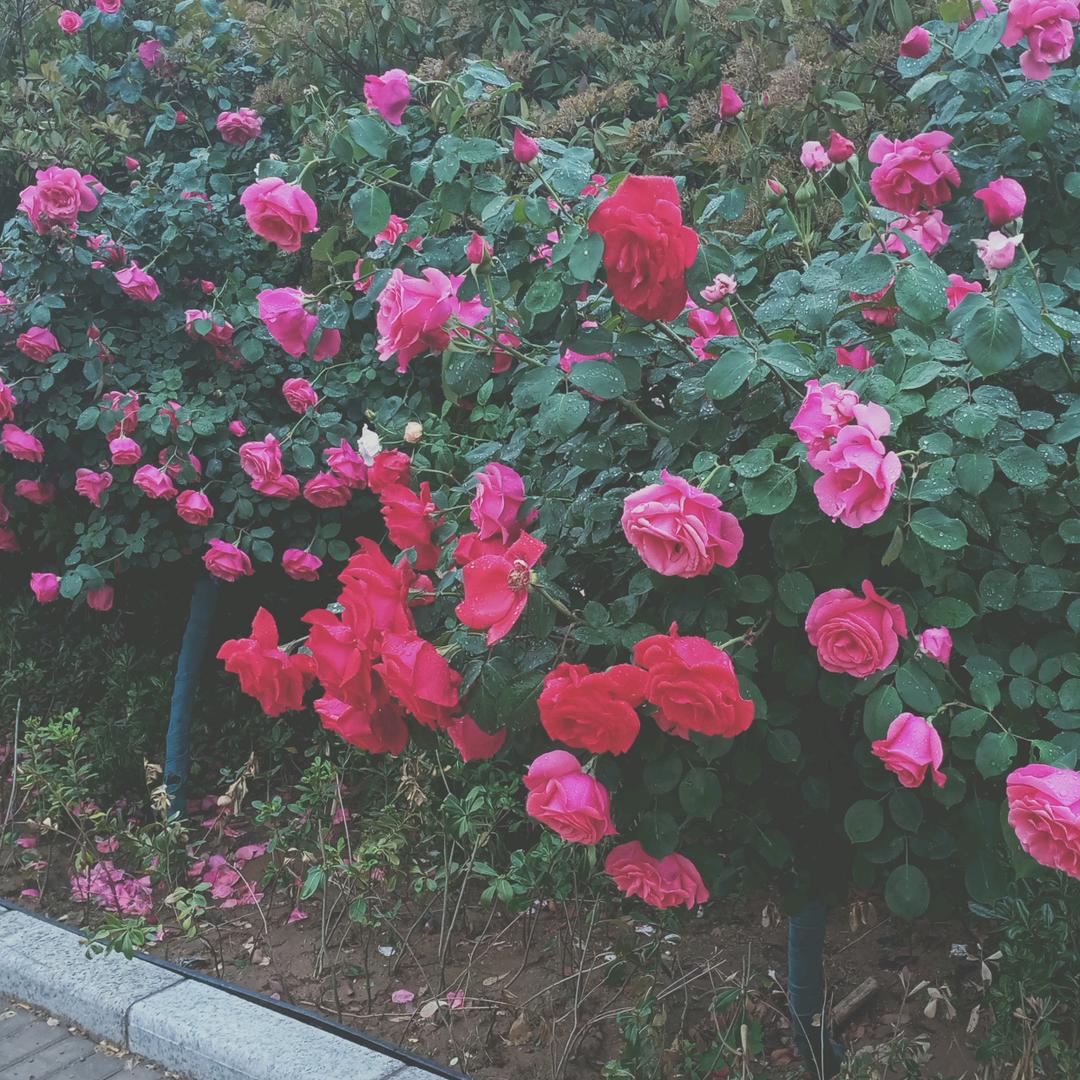 夏天
