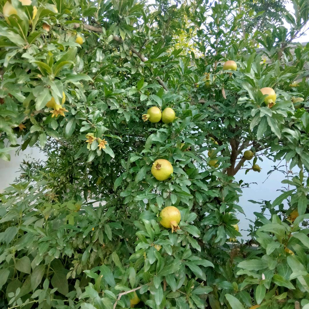 一身幸福的我