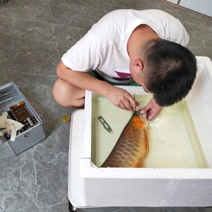 画然水族工作室