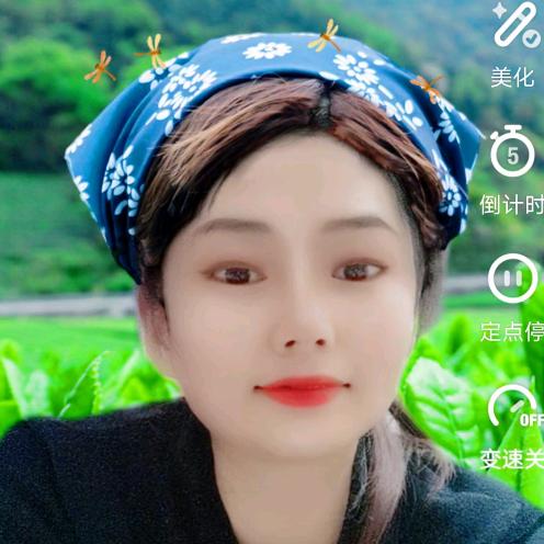 小鱼妹妹
