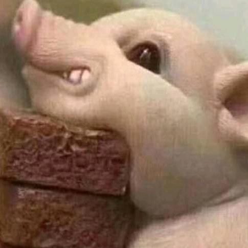 兽医小徐（养殖版）