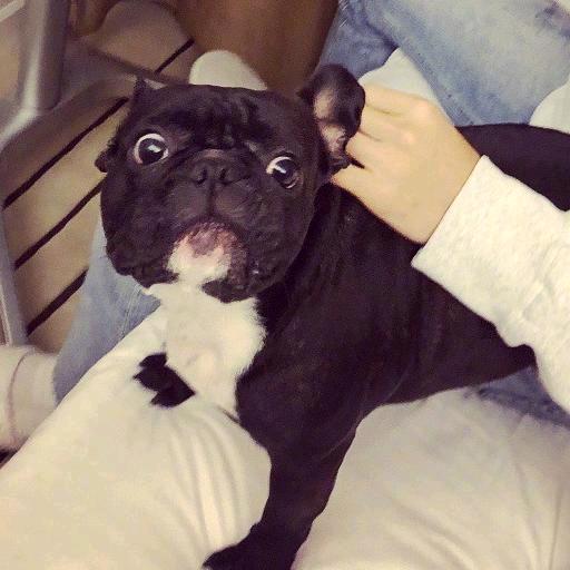 张鱼（雨）小丸子ଳ