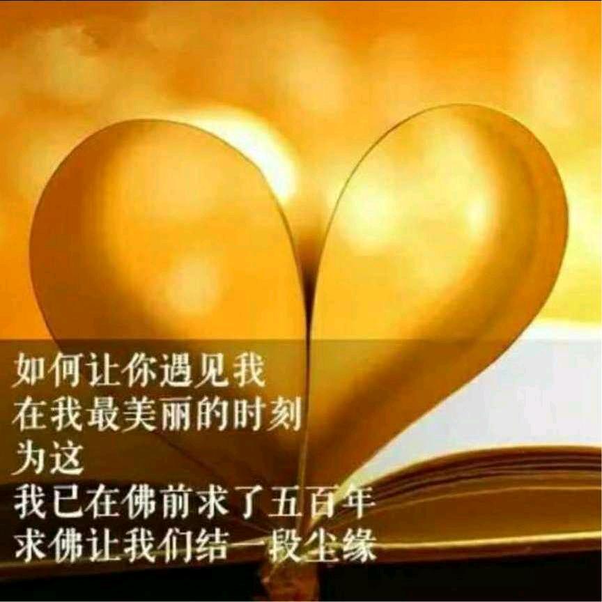 守望天空