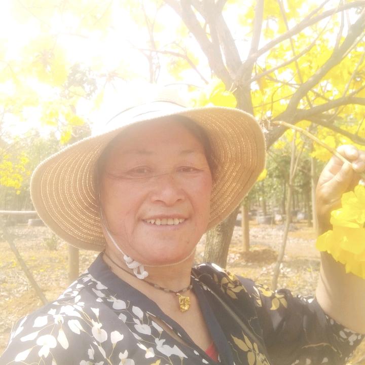 爱拍抖音的我
