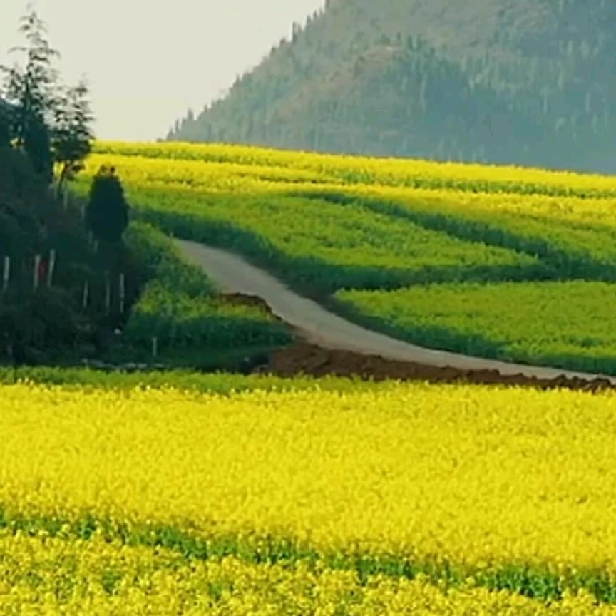 爱你永远不分手