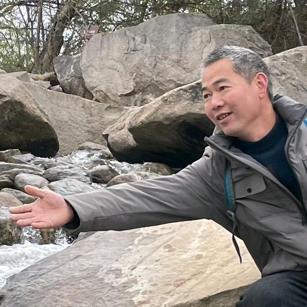 鑫源花卉，苗木