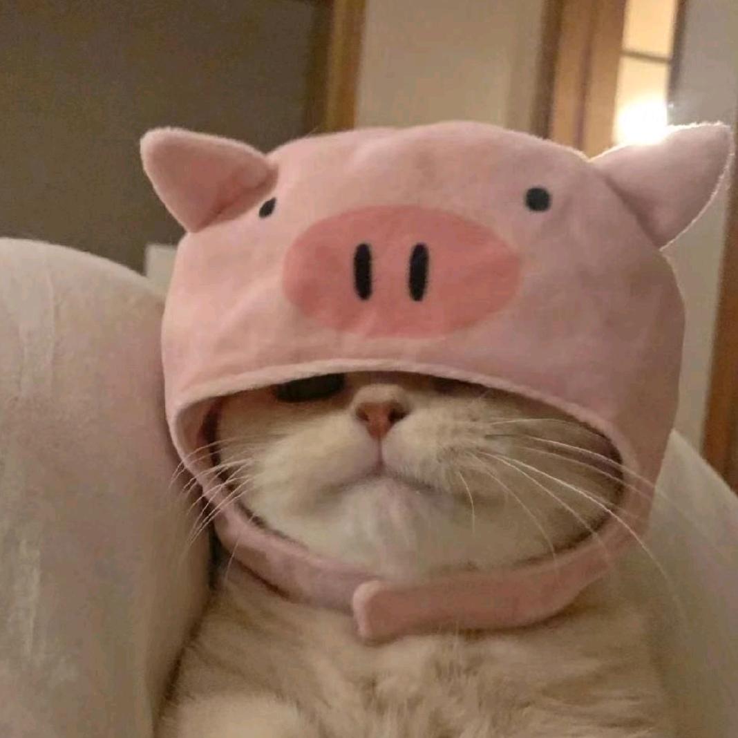 不一样的小H