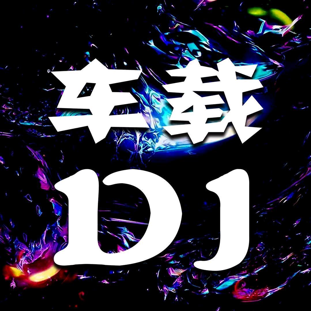 热门车载DJ音乐（车载优盘）