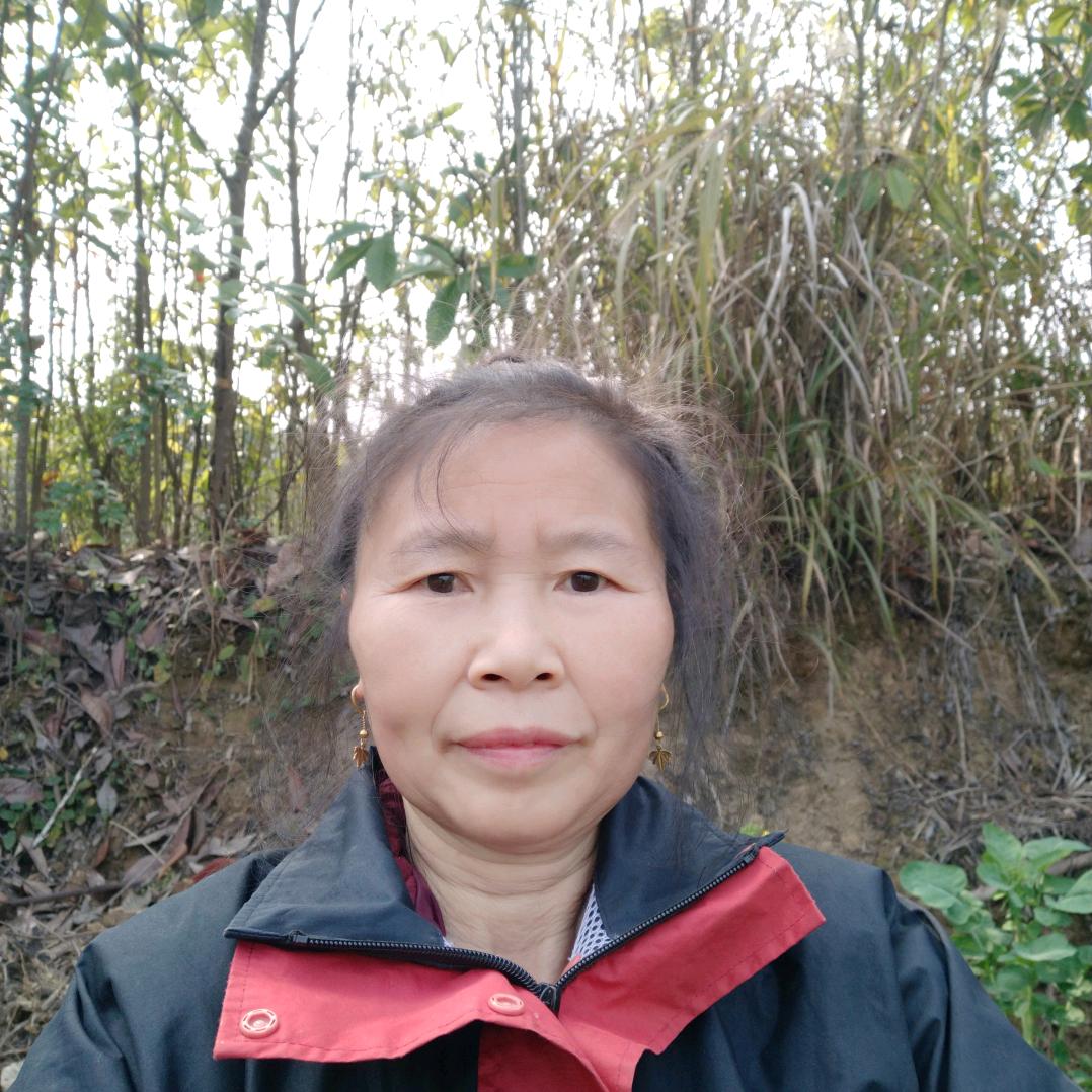辛芯奶、