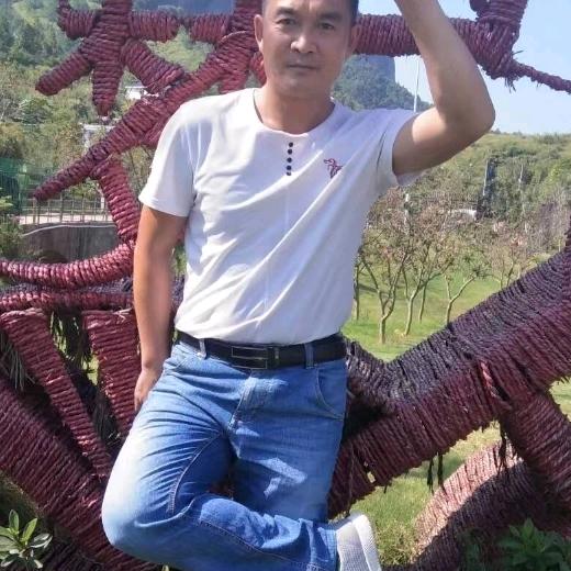 爱情伤透我的心