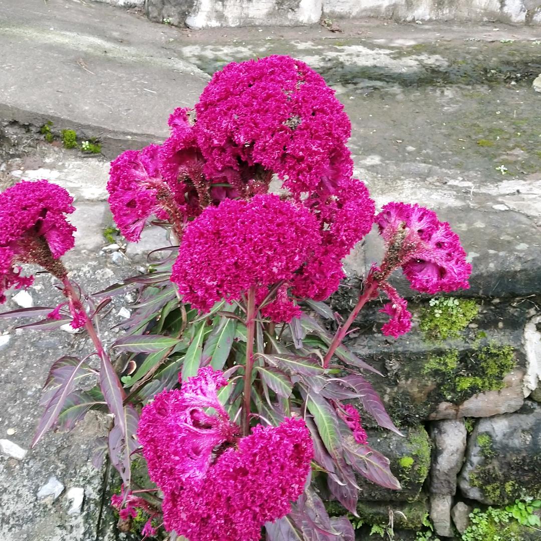 在那里什么严系你