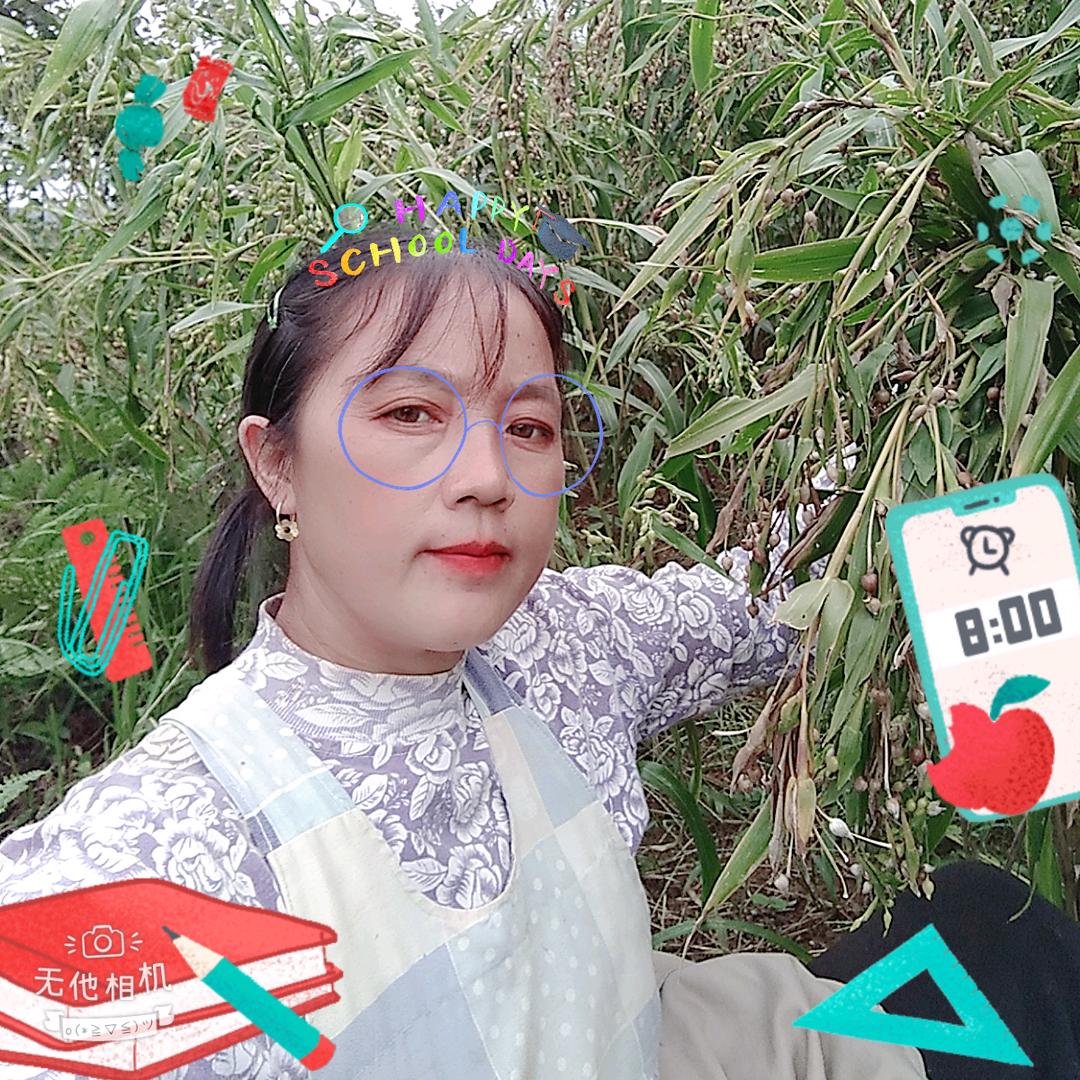 花开花兰