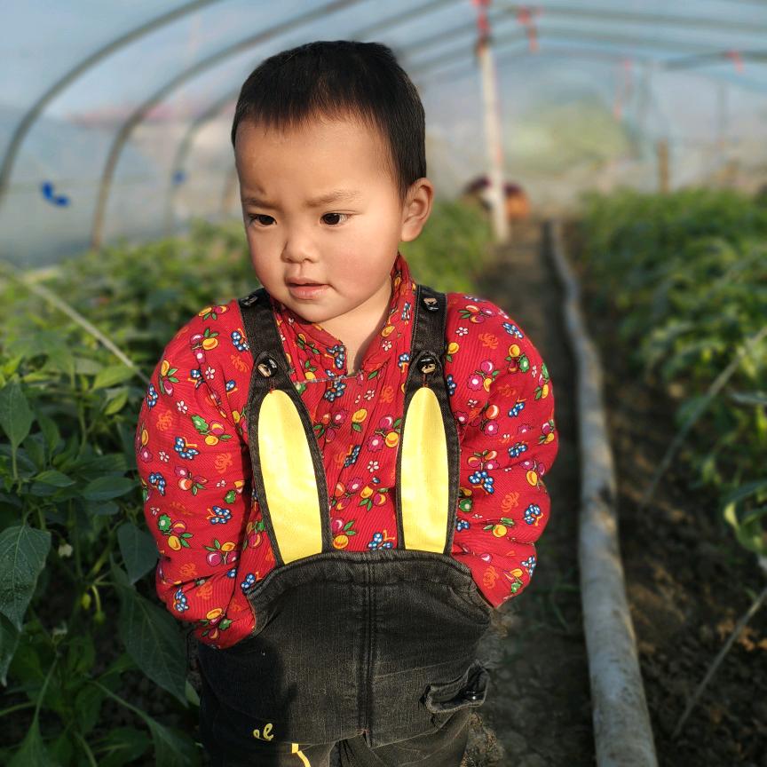 开着冷藏浪迹天涯