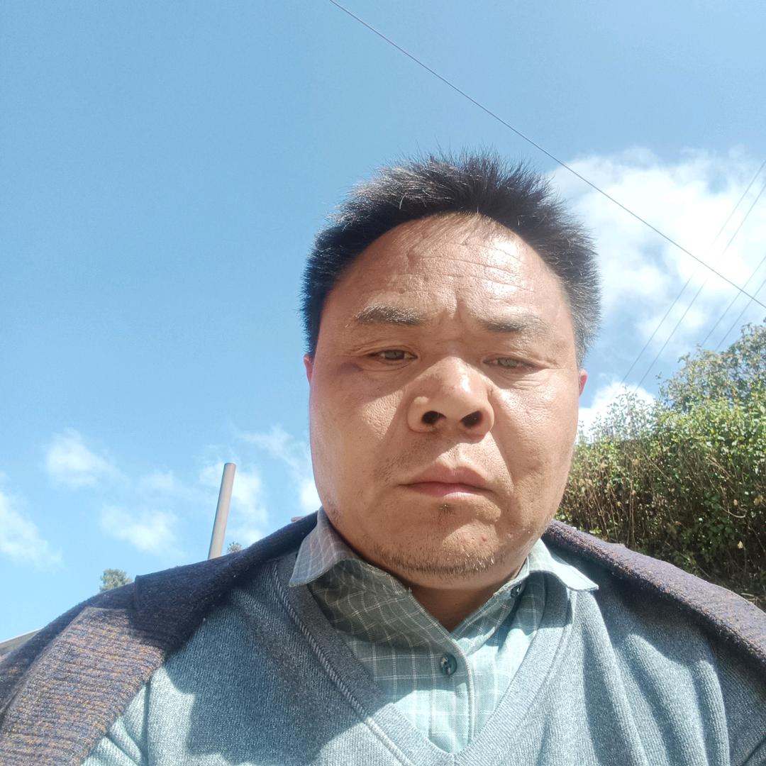凤凰涅槃