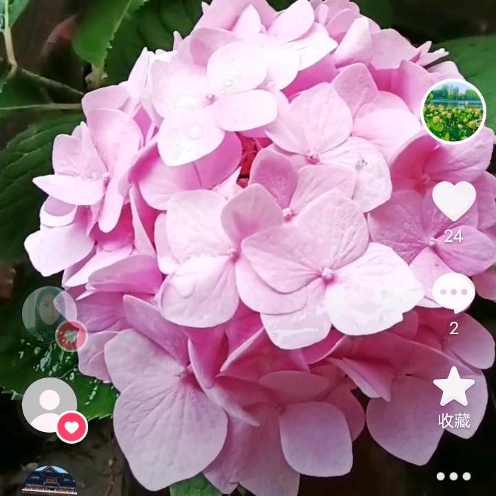 康明眼镜