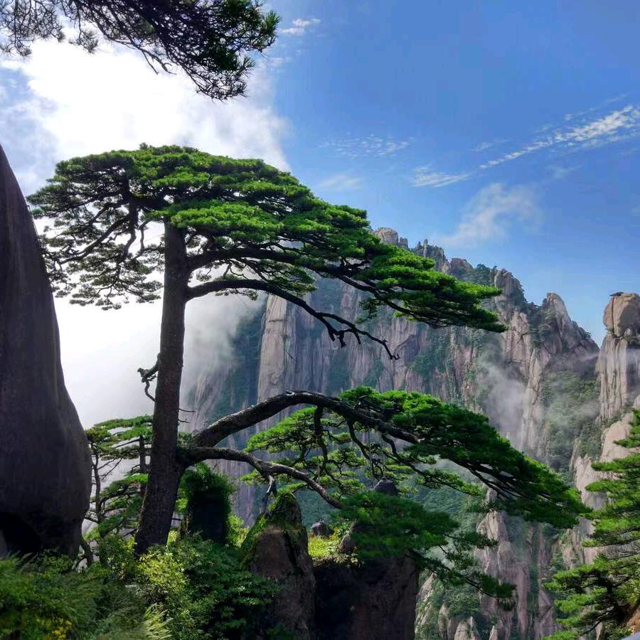 岳之驣