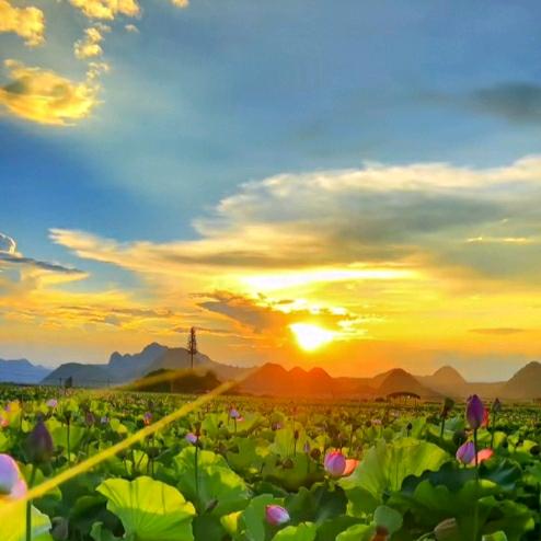 夕阳美