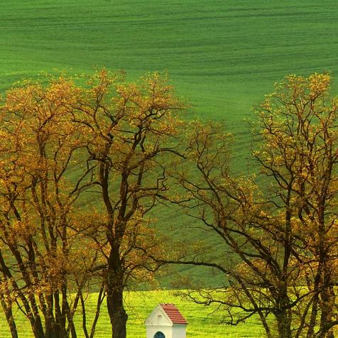 时间让我忘了他。