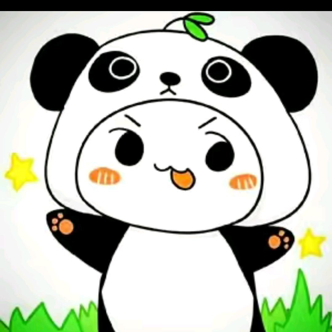 小熊猫～